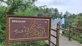 포항 소티재~아치재~연화재~부학산 - ★산행 사진방 - 경북기계공고1회 포항 소티재~아치재~연화재~부학산