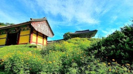 8/28 경기둘레길 40코스(칠장사 - 금광호수) - 둘레길 GPS Track - GPS 월드 8/28 경기둘레길 40코스(칠장사 - 금광호수)
