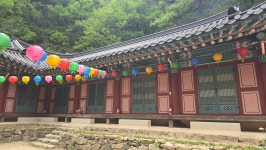 동두천 자재암 - 사찰 - 숲속의 하얀궁전 동두천 자재암