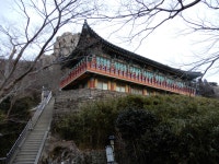 남해 금산. 미조항. 독일마을(2026. 03. 06~07. 금토무박) - 국내여행(등산)사진 - 태인한마당 남해 금산. 미조항. 독일마을(2026. 03. 06~07.... 