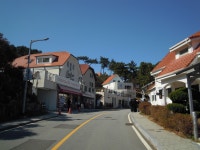 남해 금산. 미조항. 독일마을(2026. 03. 06~07. 금토무박) - 국내여행(등산)사진 - 태인한마당 남해 금산. 미조항. 독일마을(2026. 03. 06~07.... 