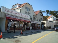 남해 금산. 미조항. 독일마을(2026. 03. 06~07. 금토무박) - 국내여행(등산)사진 - 태인한마당 남해 금산. 미조항. 독일마을(2026. 03. 06~07.... 