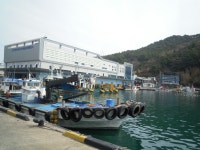 남해 금산. 미조항. 독일마을(2026. 03. 06~07. 금토무박) - 국내여행(등산)사진 - 태인한마당 남해 금산. 미조항. 독일마을(2026. 03. 06~07.... 