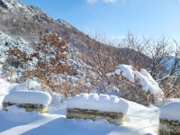 눈꽃산행 12/18 - 정사이 수다방 - 정왕동 사는 이야기 눈꽃산행 12/18