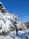 눈꽃산행 12/18 - 정사이 수다방 - 정왕동 사는 이야기 눈꽃산행 12/18