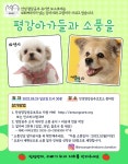 - :: 평강공주 소식 & 공지 :: - 안성 평강공주 보호소 (평화로운강아지고양이들의공동주거공간) 2022.09.25 일요일 소풍을 진행합니다!!!