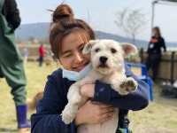 [스압주의] 4월 소풍 후기입니다~ (4) - -봉사후기 - 안성 평강공주 보호소 (평화로운강아지고양이들의공동주거공간) [스압주의] 4월 소풍... 