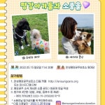 - :: 평강공주 소식 & 공지 :: - 안성 평강공주 보호소 (평화로운강아지고양이들의공동주거공간) 2022.05.15 일요일 소풍공지!!!