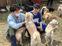 [스압주의] 4월 소풍 후기입니다~ (4) - -봉사후기 - 안성 평강공주 보호소 (평화로운강아지고양이들의공동주거공간) [스압주의] 4월 소풍... 