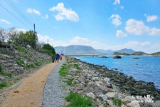 벽암 제392차 정기산행 여수 낭도한바퀴 트레킹. - 벽암정기산행신청란 ***** - 광주벽암산악회 광주벽암산악회