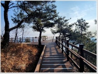 벽암 제388차 정기산행 거창 감악산. - 벽암정기산행신청란 ***** - 광주벽암산악회 광주벽암산악회