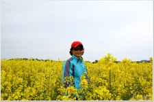 5월 16일 토요 1박 2일 조도1박+관매도 트레킹 - 5월 16일 조도... 1박2일 - 인천부천 경인산악회 5월 16일 토요 1박 2일 조도1박+관매도 트레킹