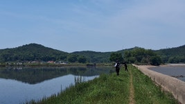 [인천 볼음도] 강화나들길13(봉화산-영뜰해변-조개골해변) - 개별산행... 경인산악회 [인천 볼음도] 강화나들길13(봉화산-영뜰해변-조개골해변)