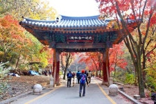 24(일) 동두천 소요산(종료) - 휴일/토요/일요 벙개 산행 - 인천부천... 경인산악회 [벙개산행 공지] 2021. 10. 24(일) 동두천 소요산(종료)