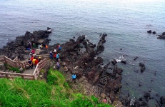 제주도 패키지 2박3일, 3월22일 까지 - 제주도 - 산정도보여행 제주도 패키지 2박3일, 3월22일 까지