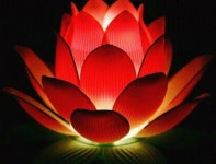 백년지기 백년친구 - 좋은글 카톡방 - 낙원 산 약초 백년지기 백년친구