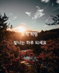 보석처럼 빛나는 하루 되세요 - 좋은글 감동글 - 낙원 산 약초 보석처럼 빛나는 하루 되세요