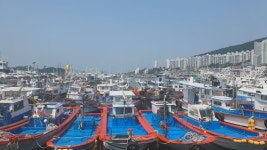 남파랑길 55, 56코스(2025.05.27, 화) - 개인산행 앨범 - 양산산악회 남파랑길 55, 56코스(2025.05.27, 화)