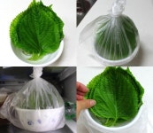 알아두면 평생 도움이 될 살림 보관법 - 악플달면 쩌리쩌려버려 - ＊여성시대＊ 차분한 20대들의 알흠다운 공간 알아두면 평생 도움이 될 살림... 