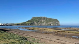 제주 둘째날 - 올레길 1코스 - 자유게시판 - 여국현의 영문학아카데미 제주 둘째날 - 올레길 1코스