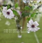 아침명상 - 자유 게시판 - (사)한국화훼장식기사협회 아침명상