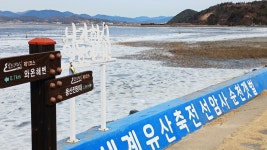 남파랑길 61코스 : 순천 해룡면 와온해변에서 별량면 화포항까지 15.6km를 걷다! - 산 행 후 기 - 광주금광산악회 남파랑길 61코스 : 순천... 