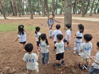 20250617 꽃별 화개어린이집 김미화,우애라,이인숙,이향숙 - 기후를 지키는 어린나무의 꿈 - 하동생태해설사회 20250617 꽃별 화개어린이집... 