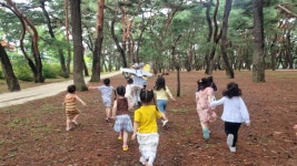 20250625 호산나어린이집 김진영,박영희,우애라,홍마리 - 기후를 지키는 어린나무의 꿈 - 하동생태해설사회 20250625 호산나어린이집 김진영... 