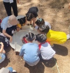 20250604 하동어린이집 김미화 이정빈 이인숙 이향숙 - 기후를 지키는 어린나무의 꿈 - 하동생태해설사회 20250604 하동어린이집 김미화... 