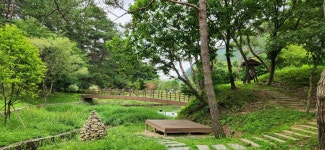 7월6일 피제골 용두산 산림욕장 사생 - ⊙ 야외스케치 활동 - 제천사생회 7월6일 피제골 용두산 산림욕장 사생
