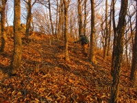 성수지맥 1구간(장수읍 대성목장~지맥분기점~성수산~대운치) - ☞ 최근산(여)행기는 여기에.. - 홀대모 성수지맥 1구간(장수읍 대성목장... 