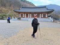 월류봉 ~ 둘레길 ~ 반야사 - ☞ 정기산행 사진 - 울산목요산악회 월류봉 ~ 둘레길 ~ 반야사