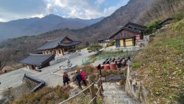 영동 월류산.반야사 - ☞ 정기산행 사진 - 울산목요산악회 영동 월류산.반야사