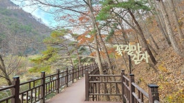 영동 월류봉 - ☞ 정기산행 사진 - 울산목요산악회 영동 월류봉