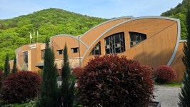 대운산 - ☞ 개인산행 사진 - 울산목요산악회 대운산