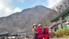 영동 월류산.반야사 - ☞ 정기산행 사진 - 울산목요산악회 영동 월류산.반야사