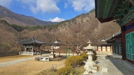 월류봉둘레길&반야사 - ☞ 정기산행 사진 - 울산목요산악회 월류봉둘레길&반야사