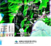 2025년 1월2일 태백산 (강원 태백) 산행안내입니다. - @산행 안내 예약@ - 성남.분당 중앙산악회 성남.분당 중앙산악회