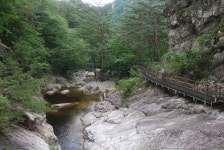 2025년 7월 10일(목) 오대산 소금강 트레킹 * 노인봉(강원 평창ㆍ강릉) 산행안내입니다. - @산행 안내 예약@ - 성남.분당 중앙산악회 성남.분당... 