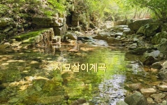 2025년 7월 3일(목) 칠보산 * 속리산 막장봉(충북 괴산) 선택산행 안내입니다. ==＞하산후 단체식사합니다. - @산행 안내 예약@ - 성남.분당... 