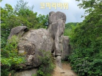 2025년 7월 3일(목) 칠보산 * 속리산 막장봉(충북 괴산) 선택산행 안내입니다. ==＞하산후 단체식사합니다. - @산행 안내 예약@ - 성남.분당... 