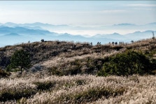 2025년 10월2일(목) 황매산(경남 합천) 억새산행 안내입니다. - @산행 안내 예약@ - 성남.분당 중앙산악회 성남.분당 중앙산악회