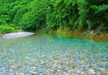 *산행지변경==＞2025년 7월31일(목) 취적봉 ㆍ 덕산기 계곡(강원 정선) 산행 안내입니다. ==＞단체식사( 복달임 행사)합니다. - @산행 안내 예약... 