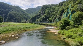 *산행지변경==＞2025년 7월31일(목) 취적봉 ㆍ 덕산기 계곡(강원 정선) 산행 안내입니다. ==＞단체식사( 복달임 행사)합니다. - @산행 안내 예약... 