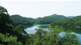 2025년 8월14일(목) 초평호 트레킹 ㆍ 두타산(충북 진천) 산행 안내입니다. ==＞하산후 단체식사합니다. - @산행 안내 예약@ - 성남.분당... 