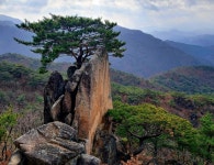 2026년 3월26일(목) 동산ㆍ 작은동산ㆍ 외솔봉(충북 제천) 산행안내입니다. ==＞ 하산후 단체식사합니다. - @산행 안내 예약@ - 성남.분당... 