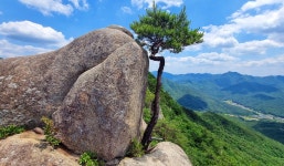 2025년 7월 3일(목) 칠보산 * 속리산 막장봉(충북 괴산) 선택산행 안내입니다. ==＞하산후 단체식사합니다. - @산행 안내 예약@ - 성남.분당... 