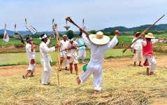 함안 법수 뚝방농요제 - ◐☞자유게시판☜◑ - 한산이씨 목은(牧隱) 이색(李穡)의 후손들 함안 법수 뚝방농요제