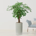 💙사랑합니다 💙 힘내세요 - 희망 음악방 - 성남 희망산악회 💙사랑합니다 💙 힘내세요