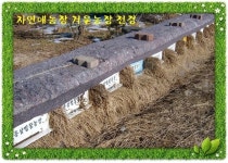 명품벌꿀 특가세일(6월 30일 마감해요) - 약초 농수산 공산품 - 요즘+만남.취미.건강.정보.경제.정치.문학.연예.세상이야기 명품벌꿀 특가세일... 